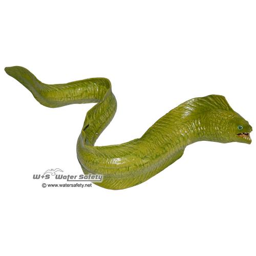 261529-safari-incredible-creatures-muray-eel-1