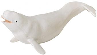 Monterey Bay Collection Beluga